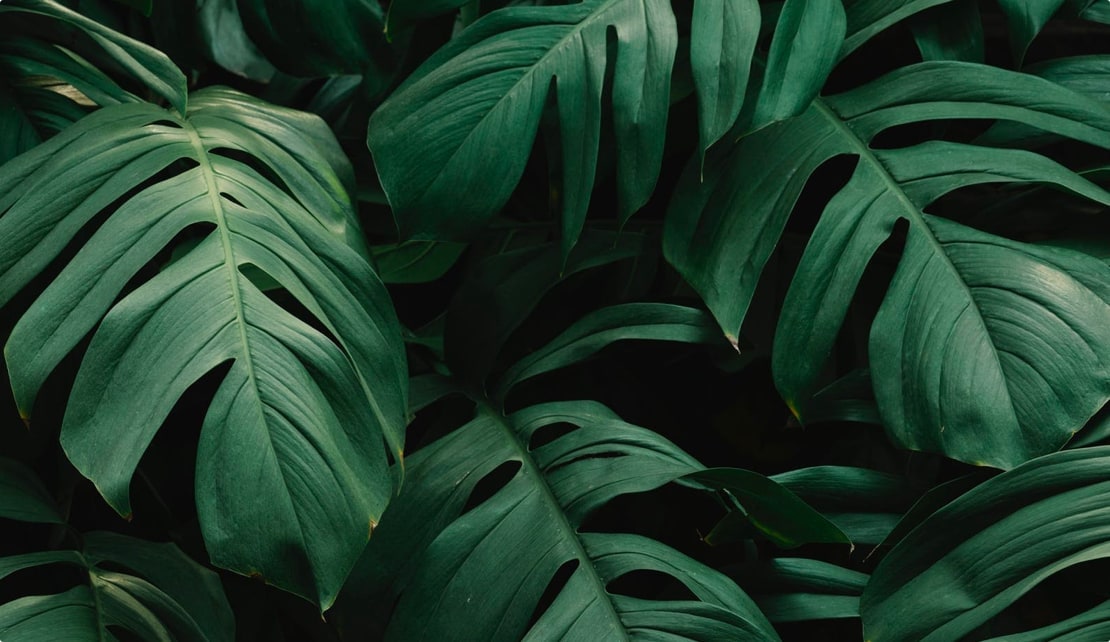 لورم ایپسوم متن ساختگی با تولید سادگی