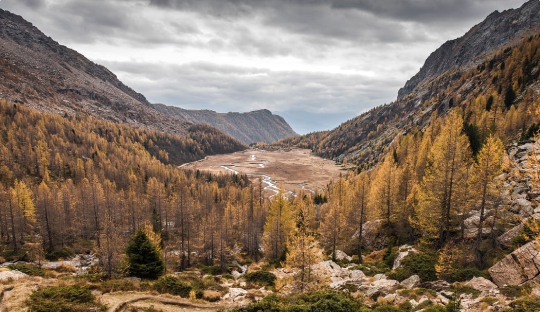 لورم ایپسوم متن ساختگی با تولید سادگی